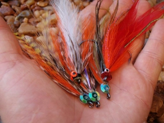 Dorado flies Dorado flies