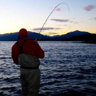 Playing somethng good Playing somethng good