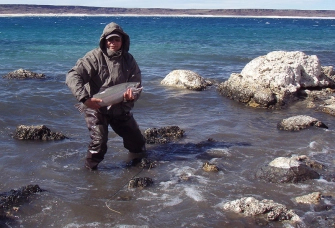 Rough wheather and rough fish Rough wheather and rough fish