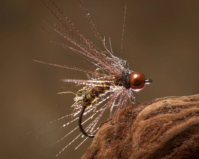 the organzackle the organzackle