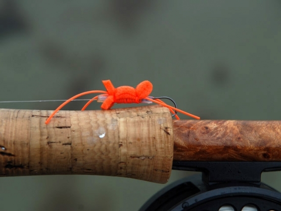 Burning Man Burning Man