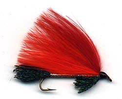 FLAMING TONGUE Image