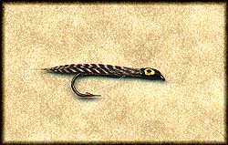 SOUTH BRANCH CHUB Image