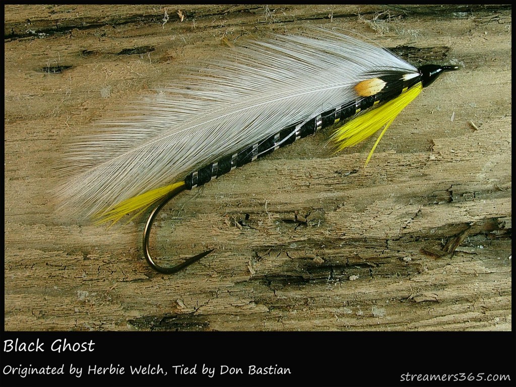 #1 Black Ghost - Don Bastian #1 Black Ghost - Don Bastian