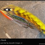 #28 Primary Perch - Ken Craigue Jr. #28 Primary Perch - Ken Craigue Jr.