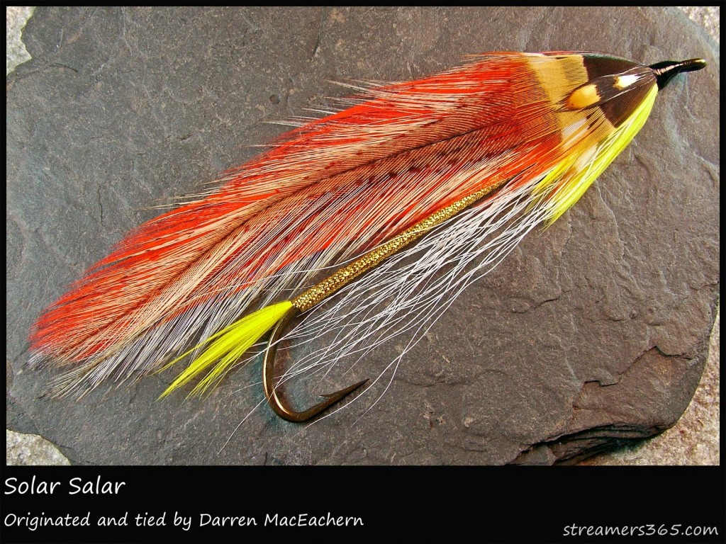 #255 Solar Salar - Darren MacEachern