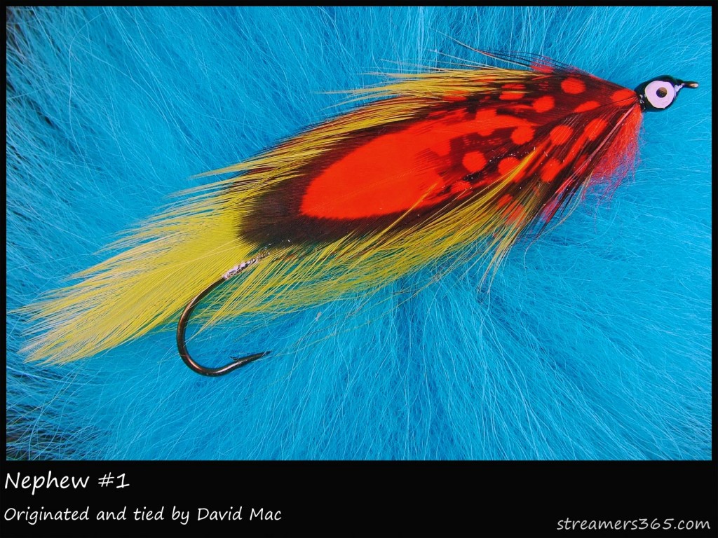 #306 Nephew #1 - David Mac #306 Nephew #1 - David Mac