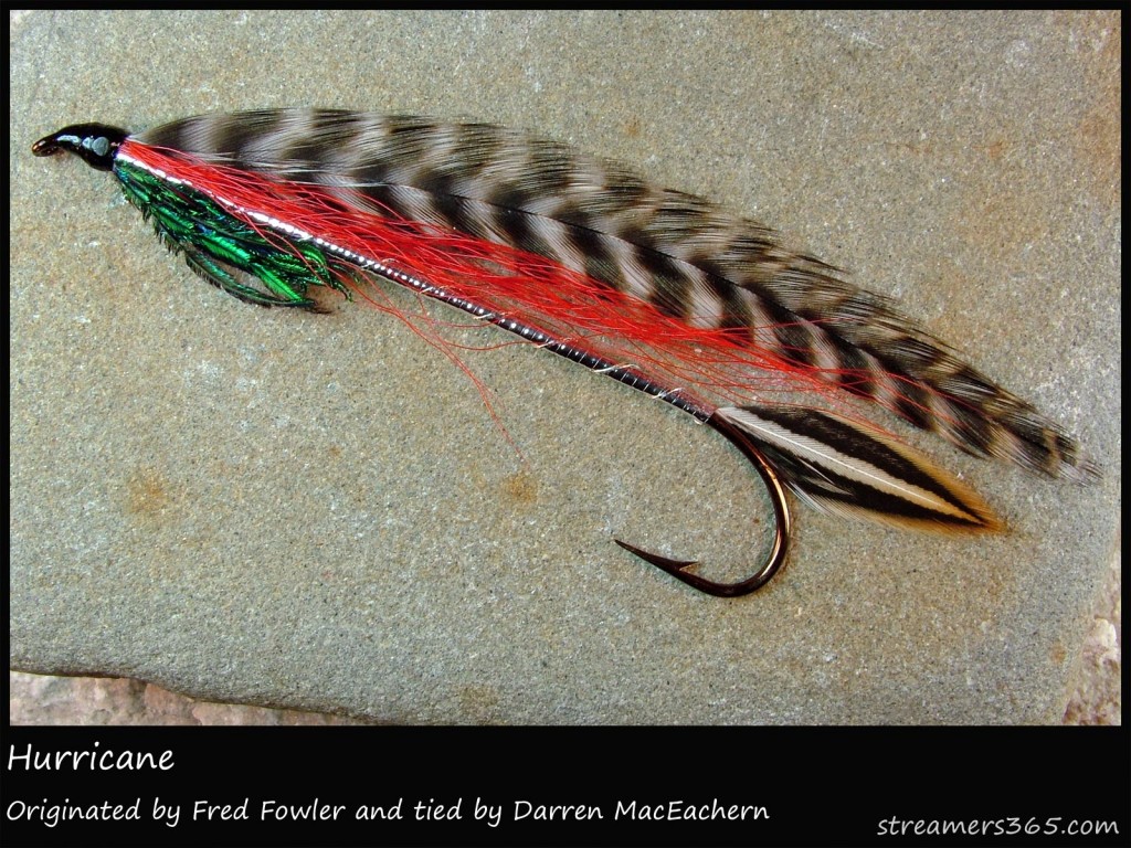 #336 Hurricane - Darren MacEachern