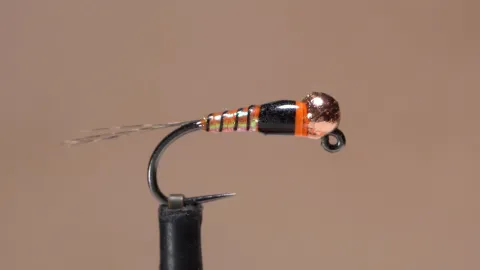 Video thumb for Jig Napoleon