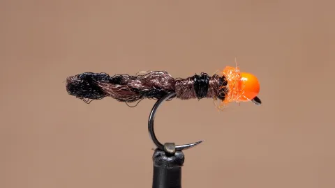 Video thumb for Micro Egg Sucking Leech