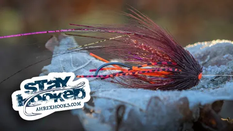 Video thumb for Tsunami Munker