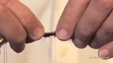 Video thumb for Tube Lake Leech
