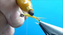 Video thumb for BH Golden Stone "D" Rib Nymph