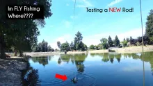 Video thumb for City lakes can be fun as well!