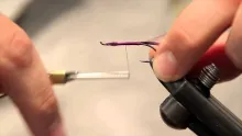 Video thumb for Purple Guinea Steelhead Fly