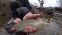 Video thumb for The Mitchell
