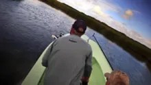 Video thumb for Heart of the Marsh