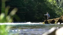 Video thumb for A Veteran’s Legacy