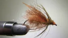 Video thumb for October Caddis Pupa