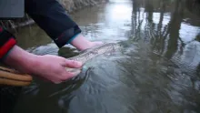 Video thumb for Small Stream Fly Fishing