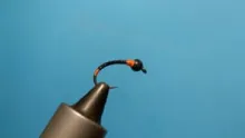 Video thumb for PB's buzzer #2