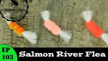 Video thumb for Salmon River Flea aka the Steelhead Flea