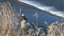 Video thumb for Japanese Conservation