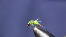 Video thumb for Copper John