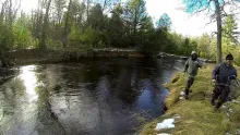 Video thumb for Donati Vortex