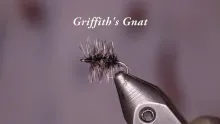 Video thumb for Griffith's Gnat