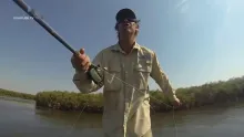 Video thumb for Delta Tigers