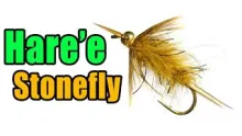Video thumb for Hare'e Stonefly Nymph