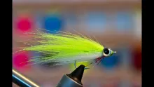 Video thumb for Crafty Reversed Minnow