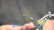 Video thumb for Pheasant Ear Nymph