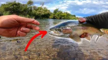 Video thumb for Secret New Fly Slays Trout
