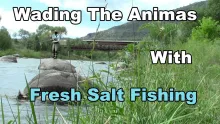 Video thumb for Animas River Wading