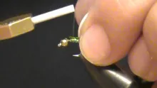Video thumb for Lightning Bug