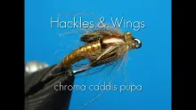 Video thumb for Chroma Caddis Pupa