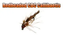 Video thumb for Redheaded CDC Callibaetis Nymph