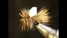 Video thumb for PFD Caddis
