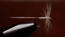 Video thumb for Cream Variant