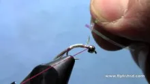 Video thumb for Egan's Rainbow Warrior