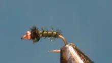 Video thumb for Bead Head Caddis Larva
