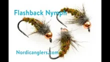 Video thumb for The flashback nymph
