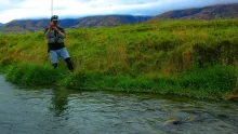Video thumb for NZ Spring Creek Trout