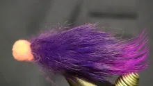Video thumb for Egg Sucking Leech