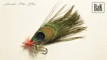 Video thumb for Common Pike Fly