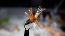 Video thumb for John Storey Dry Fly