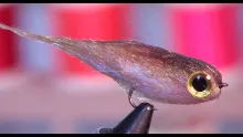 Video thumb for Little Minnow Fry