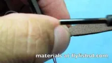 Video thumb for Chernobyl Ant